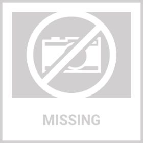 Facial Cleansing Brush, Sonic Facial Brush with 3 Brush Heads for Daily Skin Care, Rechargeable and Gentle Face Exfoliator (Color: White)